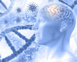 SMP Brain and Neurological Disorders