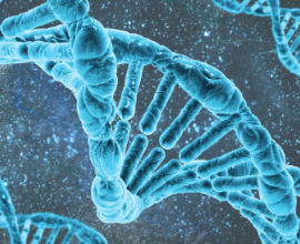 SMP Molecular and Cellular Biochemistry