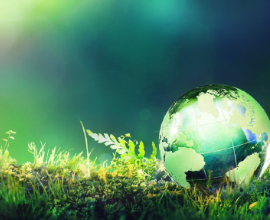 SMP Environmental Science and Technology