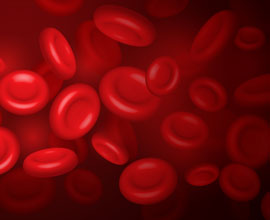 SMP Journal of Hematology