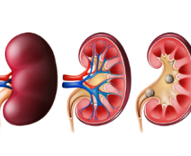 SMP Clinical Nephrology and Research