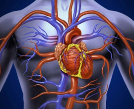 SMP Vascular Medicine and Surgery